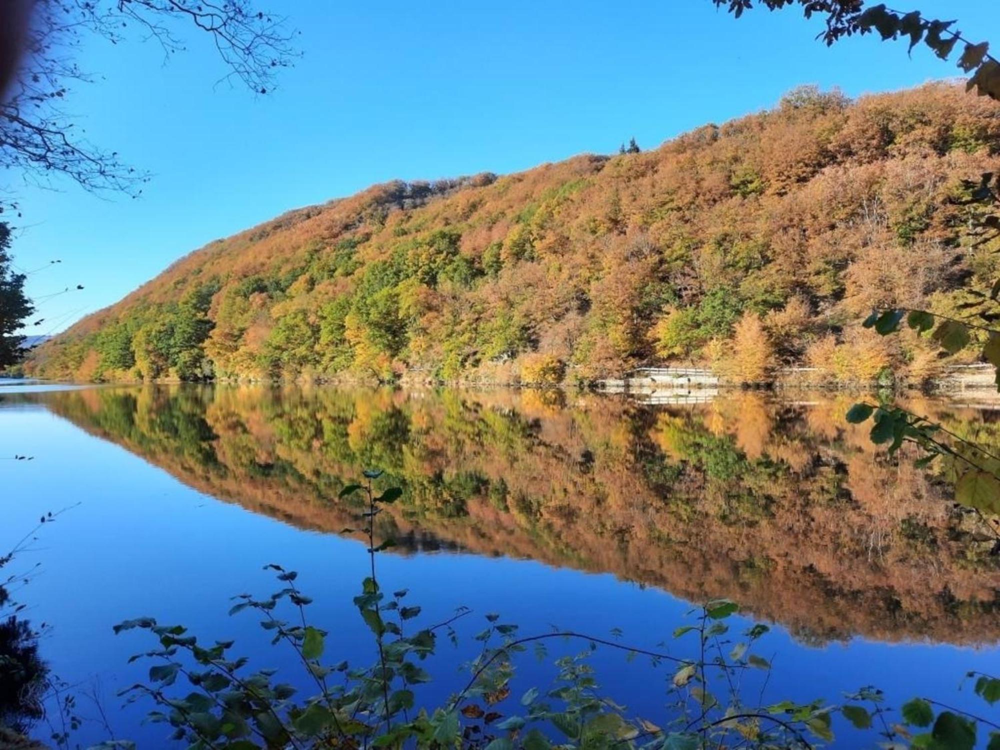 Ferienhaus &#039Freund Am See&#039 3 Хаймбах Екстериор снимка